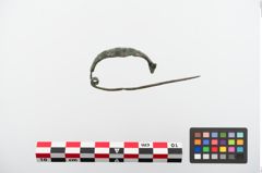 Foto von Bronzekahnfibel (NHMW-PRAE-024175)